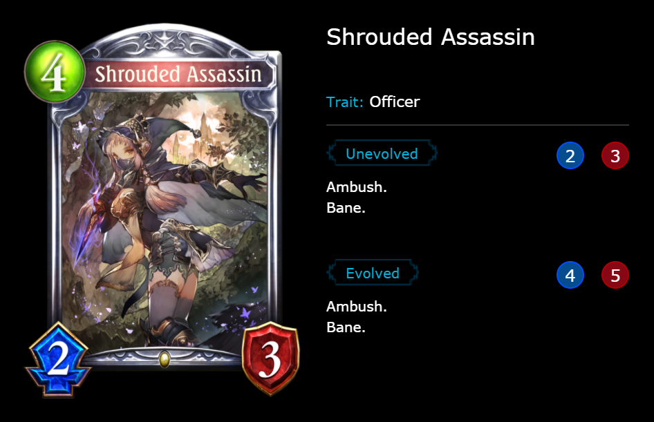 Shrounded Assasin